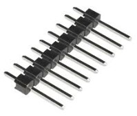 femaleheaders.jpg